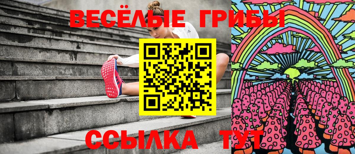 Галлюциногенные грибы Psilocybe  цены   Крымск  Вход с VPN 