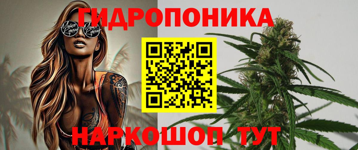 Бошки Шишки LSD WEED  Вход с VPN  Бошки марихуана марихуана  Бошки Шишки White Widow  Крымск 